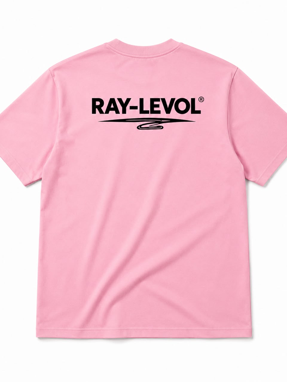 RAY-LEVOL T-Shirts