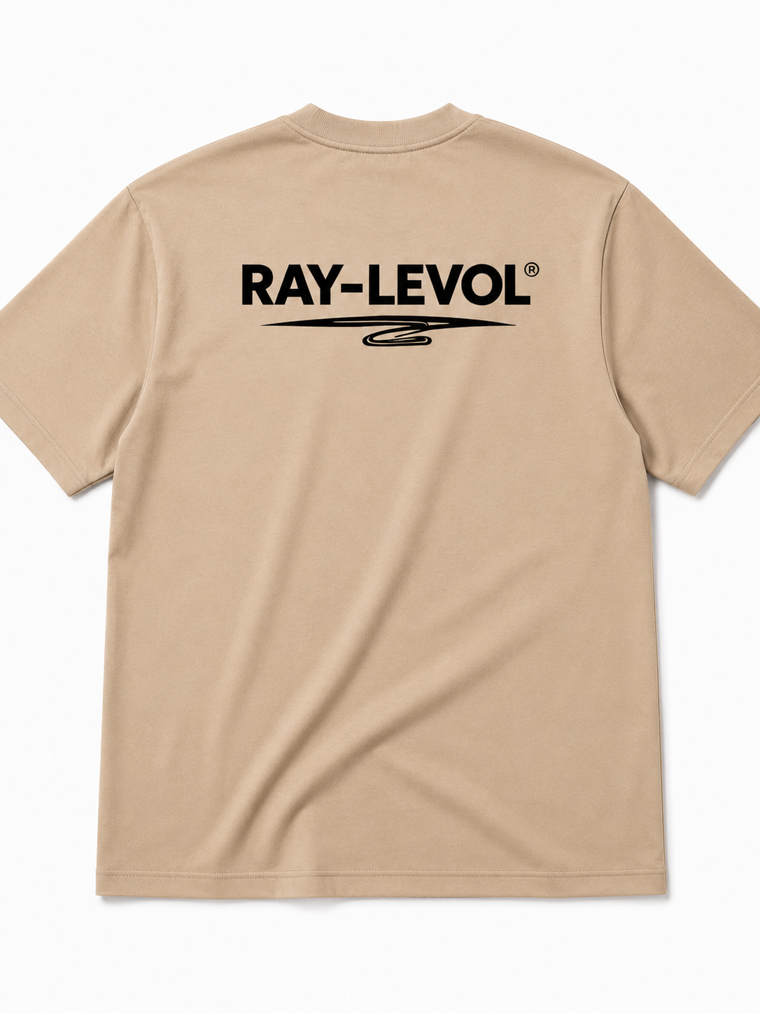 RAY-LEVOL T-Shirts